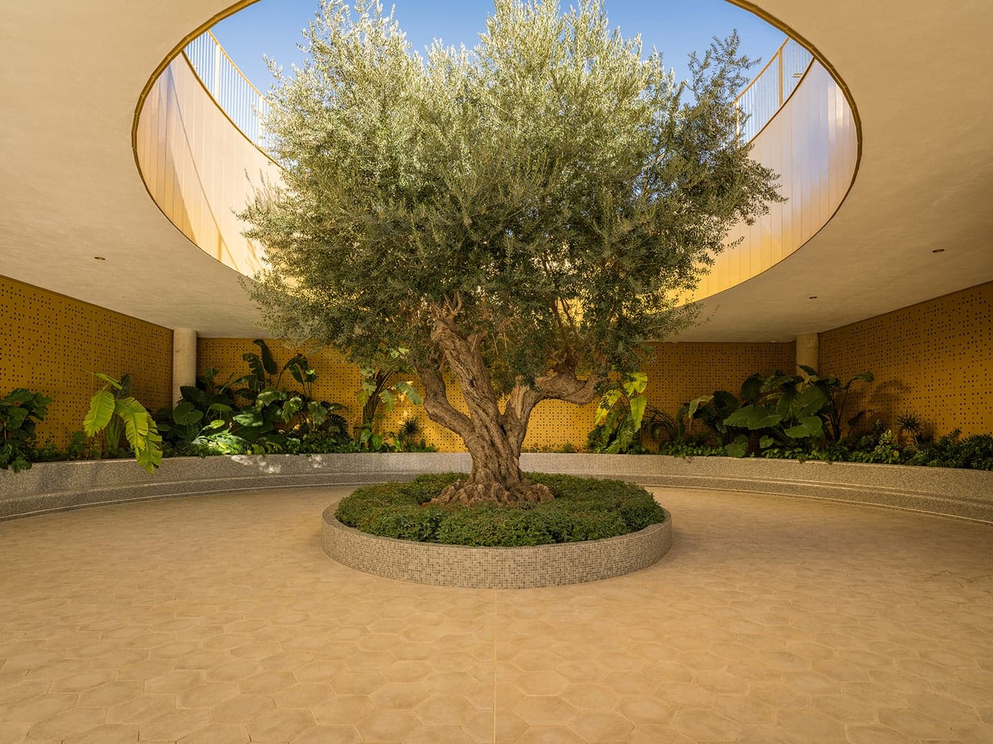 azmer intempo benidorm web 64 100617d3